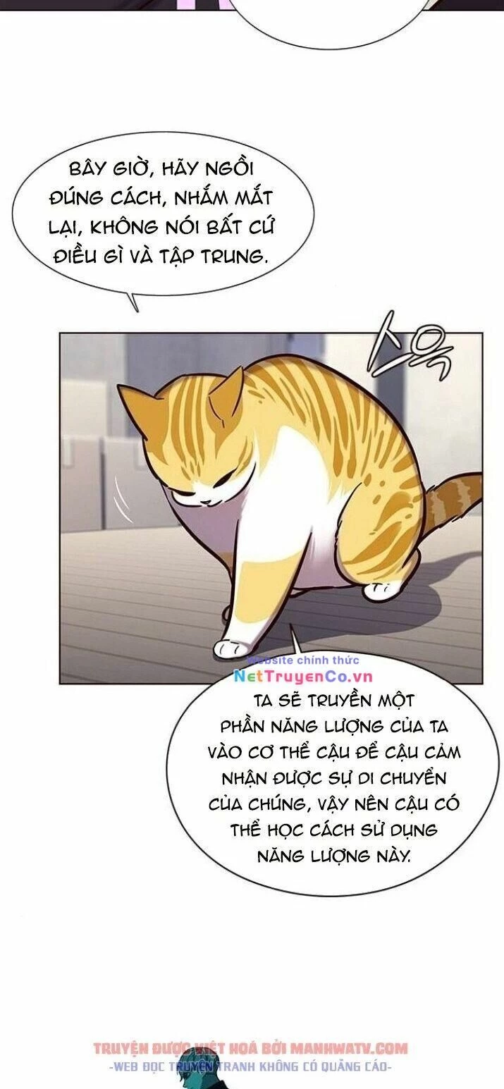 Cô Dâu Của Sói Trắng Chapter 116 - 22