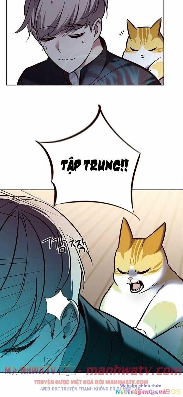 Cô Dâu Của Sói Trắng Chapter 116 - 26