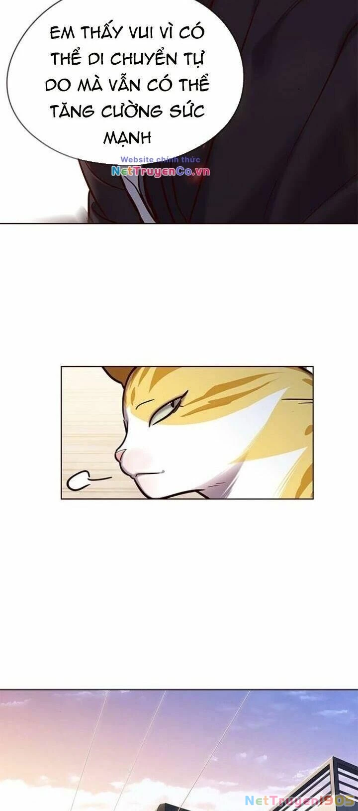 Cô Dâu Của Sói Trắng Chapter 117 - 9