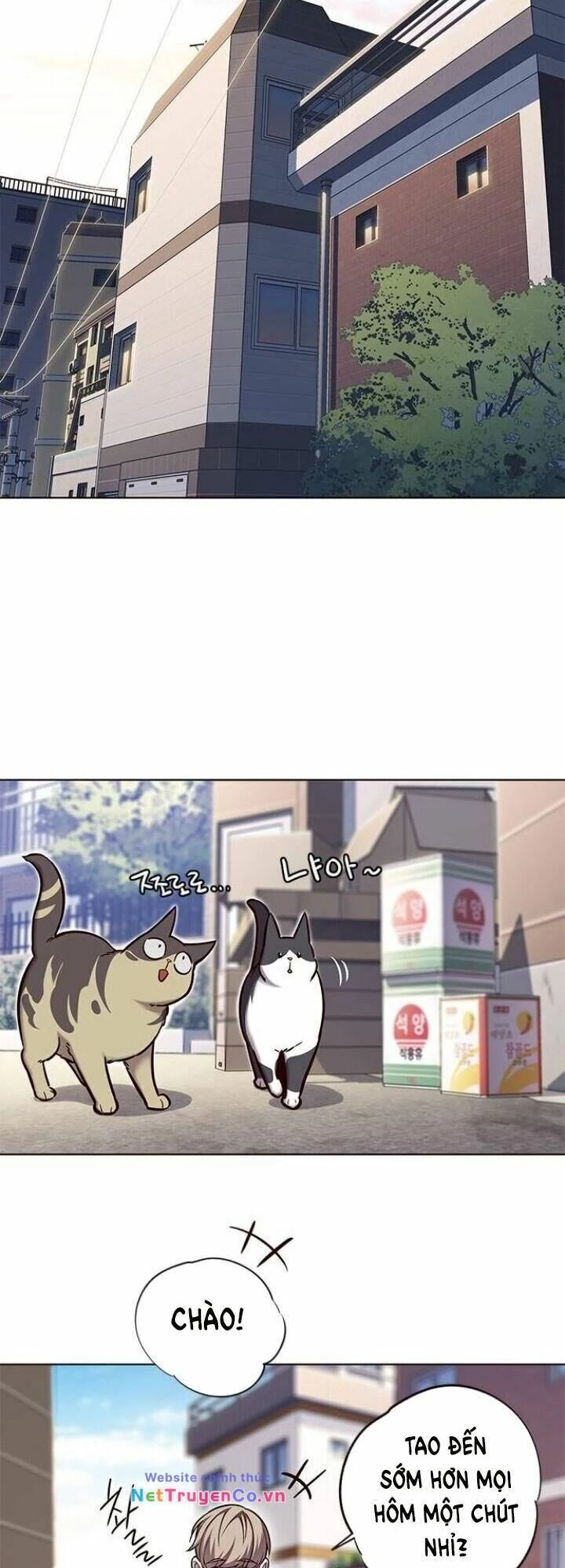 Cô Dâu Của Sói Trắng Chapter 117 - 10
