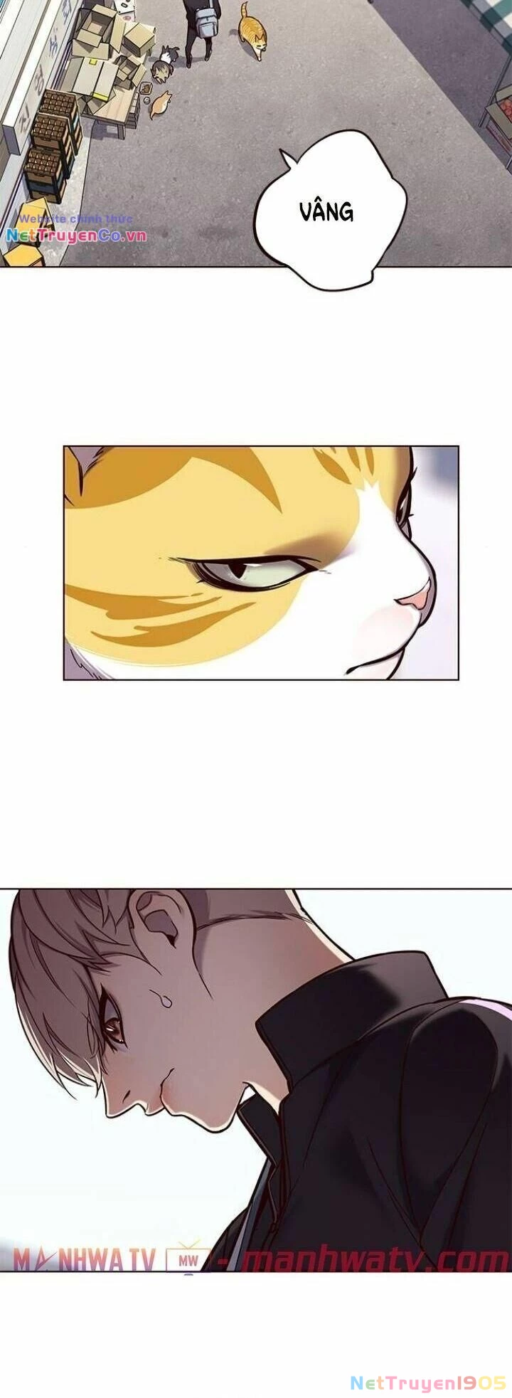 Cô Dâu Của Sói Trắng Chapter 117 - 33