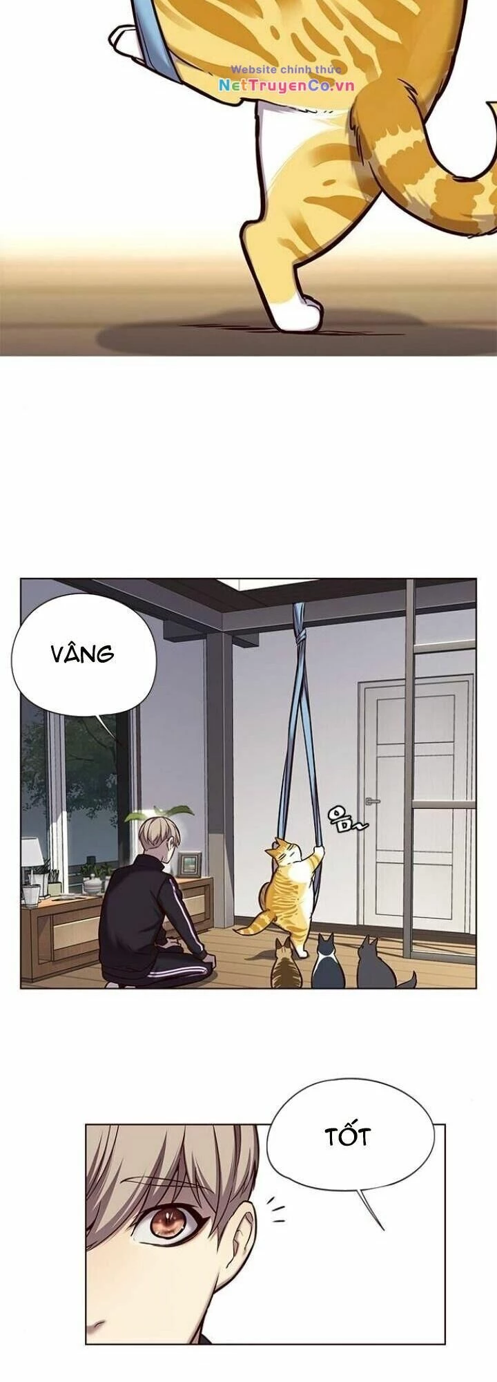 Cô Dâu Của Sói Trắng Chapter 118 - 7