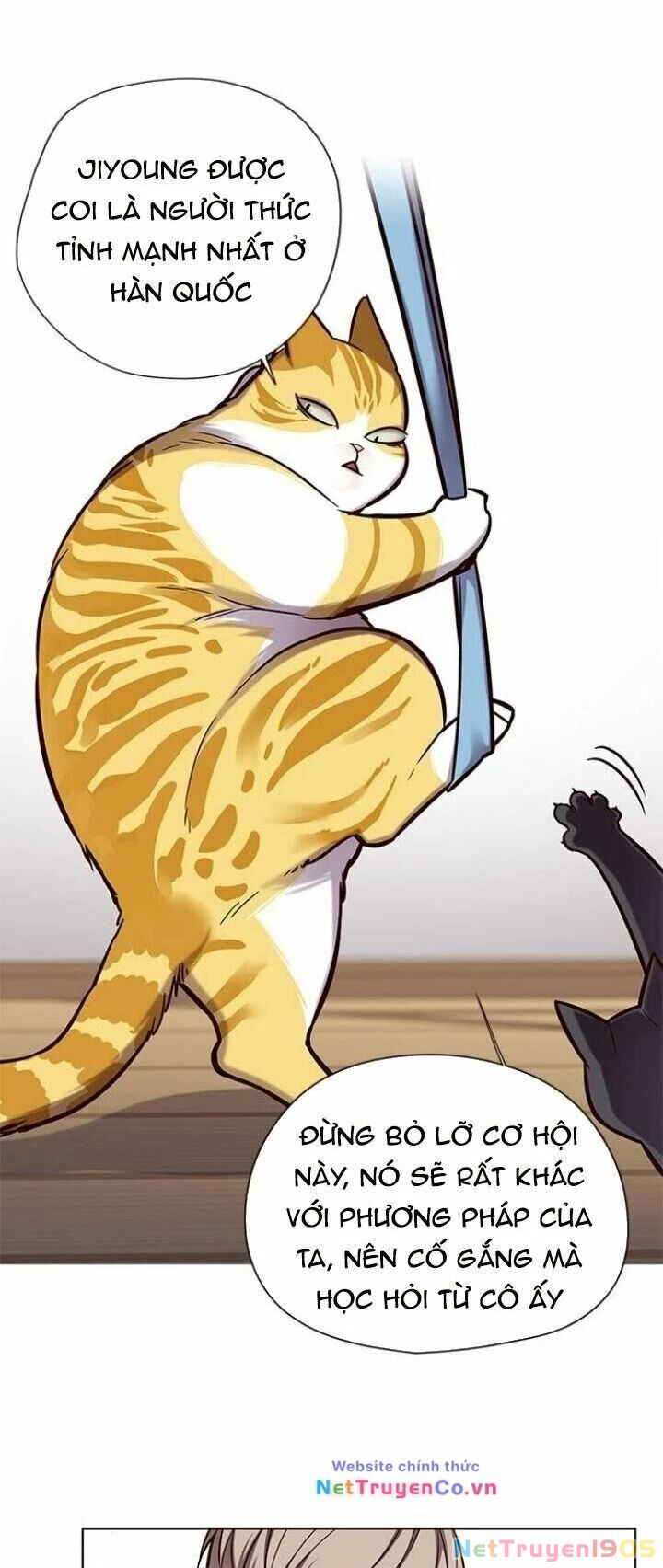 Cô Dâu Của Sói Trắng Chapter 118 - 8