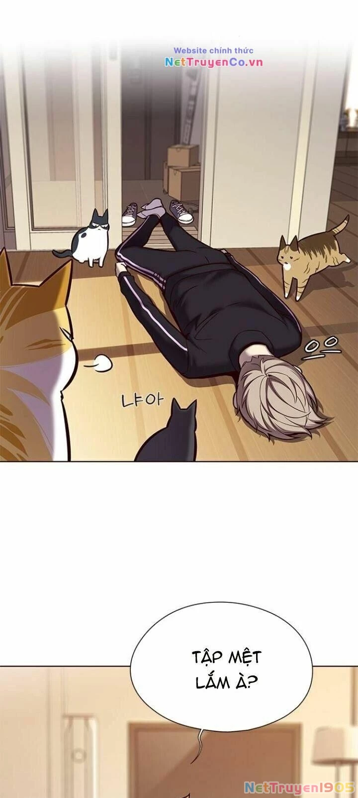 Cô Dâu Của Sói Trắng Chapter 118 - 42