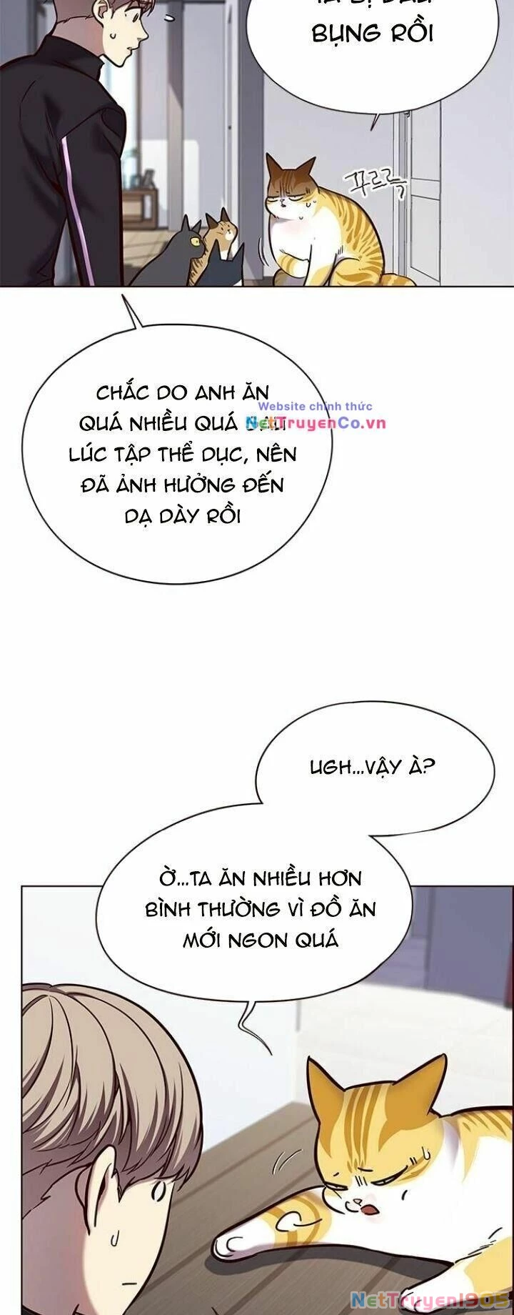 Cô Dâu Của Sói Trắng Chapter 119 - 6