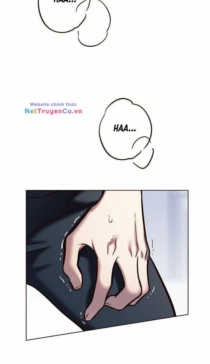 Cô Dâu Của Sói Trắng Chapter 120 - 31
