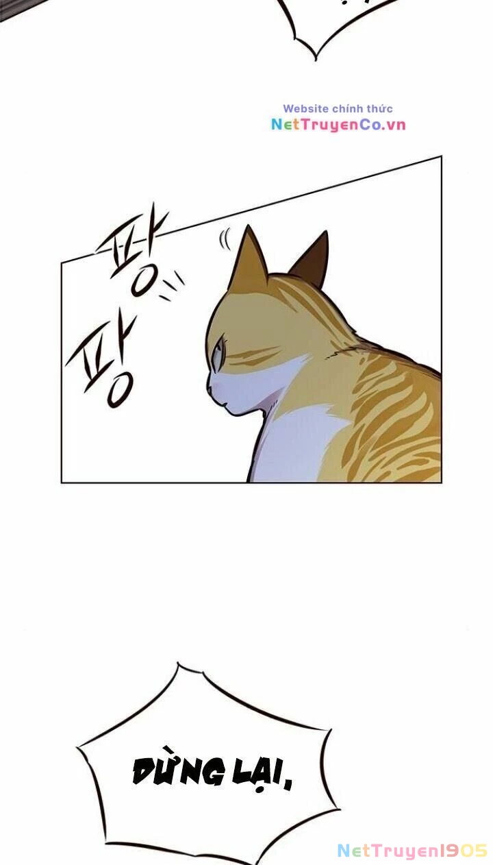 Cô Dâu Của Sói Trắng Chapter 124 - 10