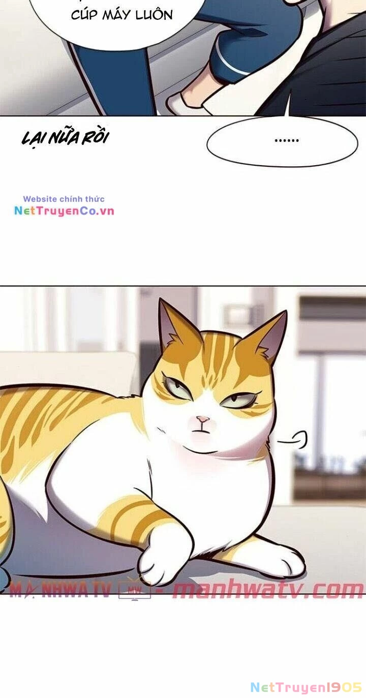 Cô Dâu Của Sói Trắng Chapter 124 - 18