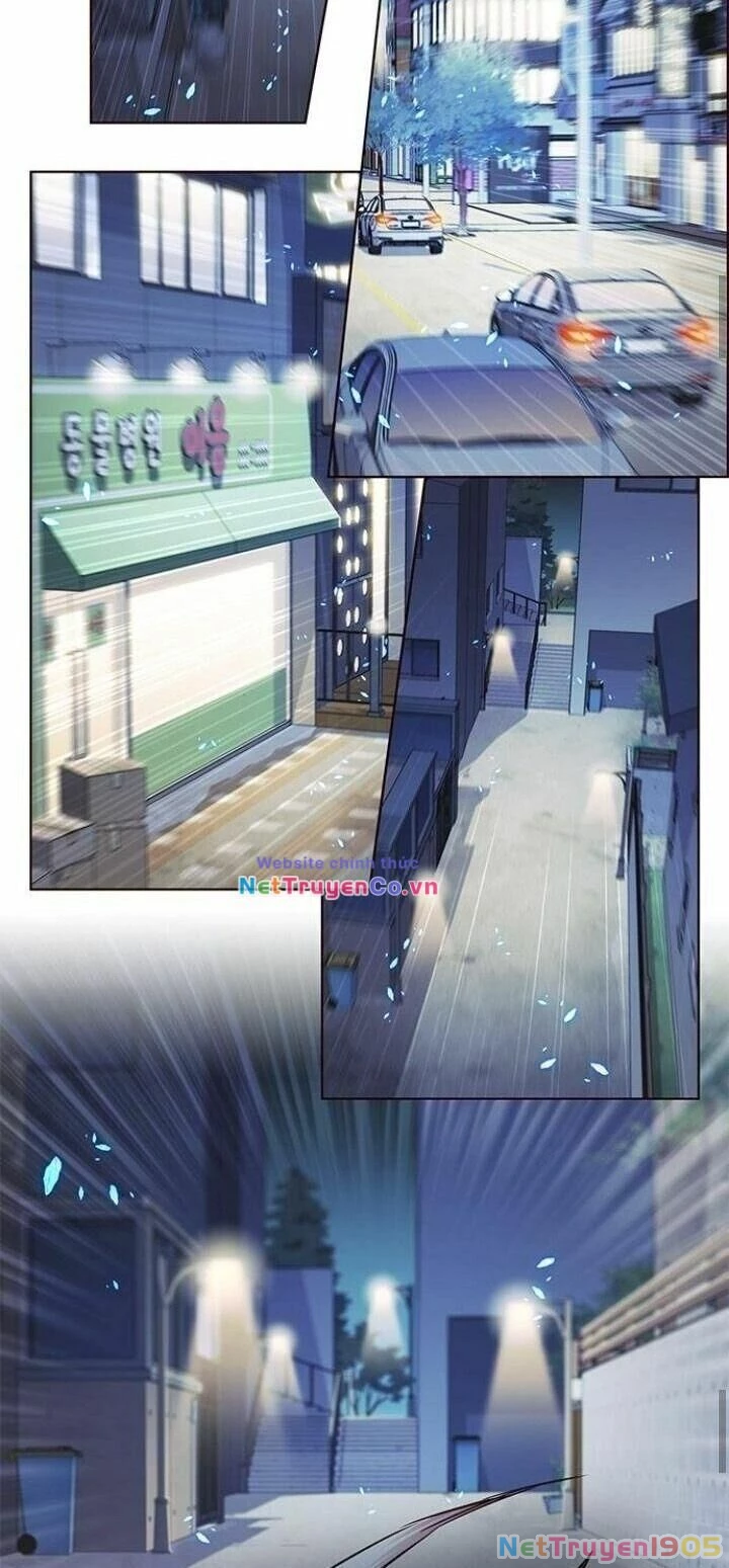 Cô Dâu Của Sói Trắng Chapter 126 - 43