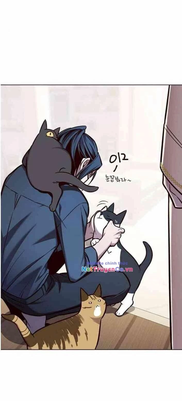 Cô Dâu Của Sói Trắng Chapter 138 - 64