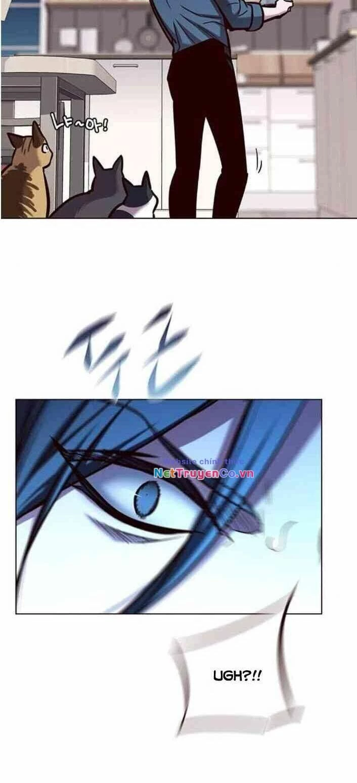 Cô Dâu Của Sói Trắng Chapter 138 - 70
