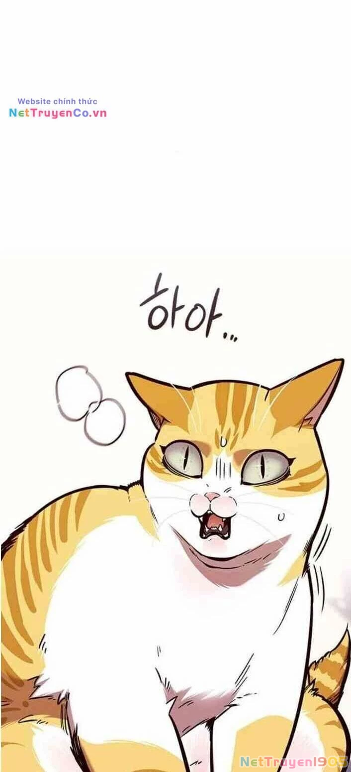 Cô Dâu Của Sói Trắng Chapter 138 - 73