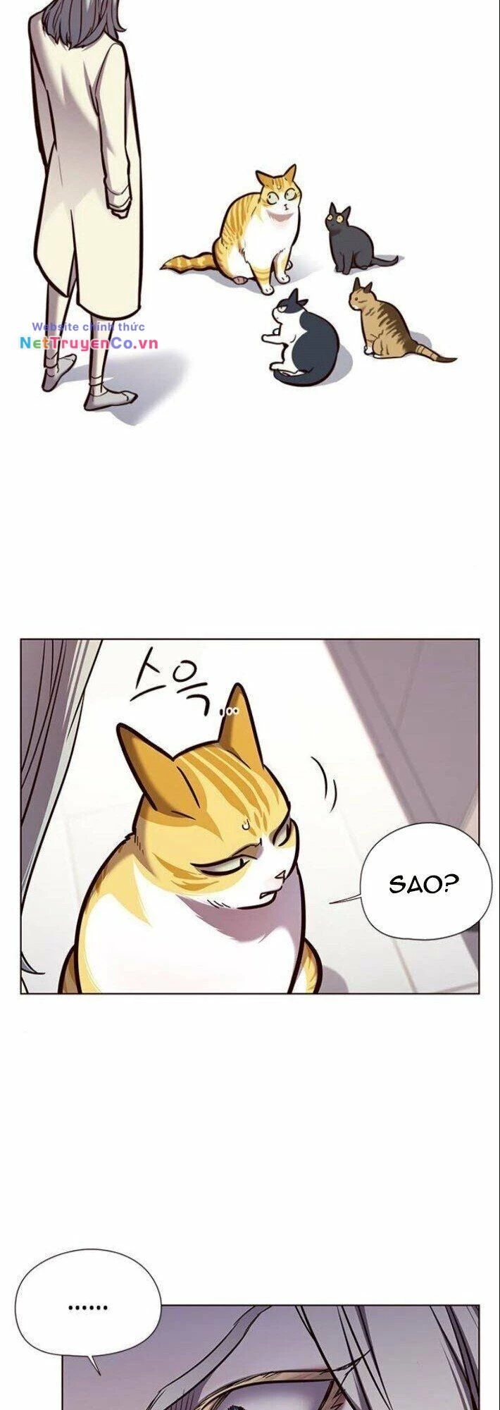 Cô Dâu Của Sói Trắng Chapter 139 - 3