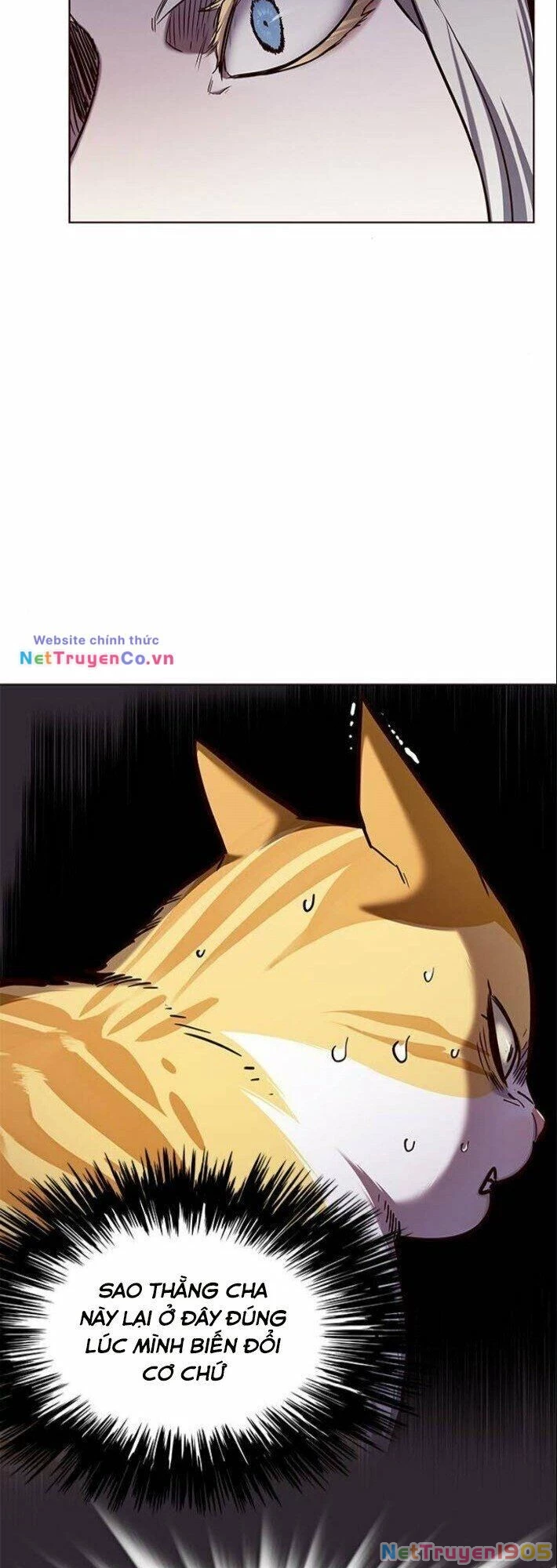 Cô Dâu Của Sói Trắng Chapter 139 - 4