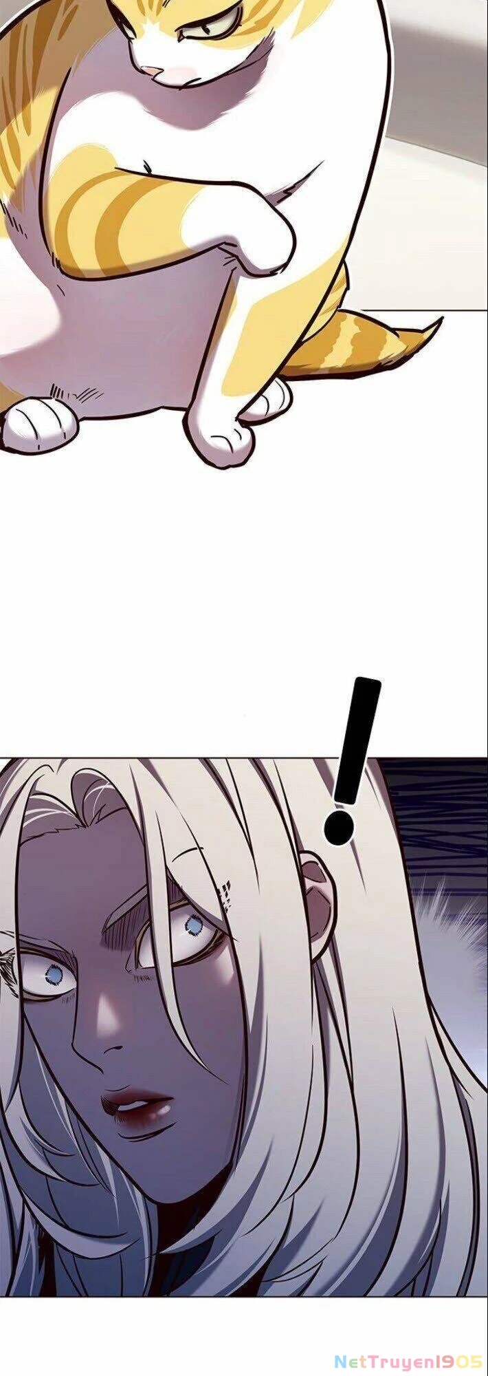 Cô Dâu Của Sói Trắng Chapter 139 - 14