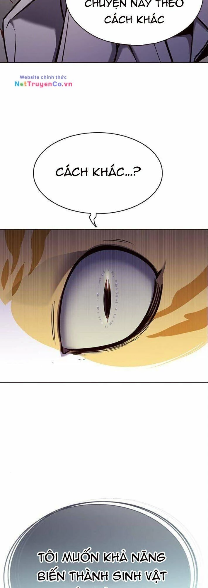 Cô Dâu Của Sói Trắng Chapter 139 - 43