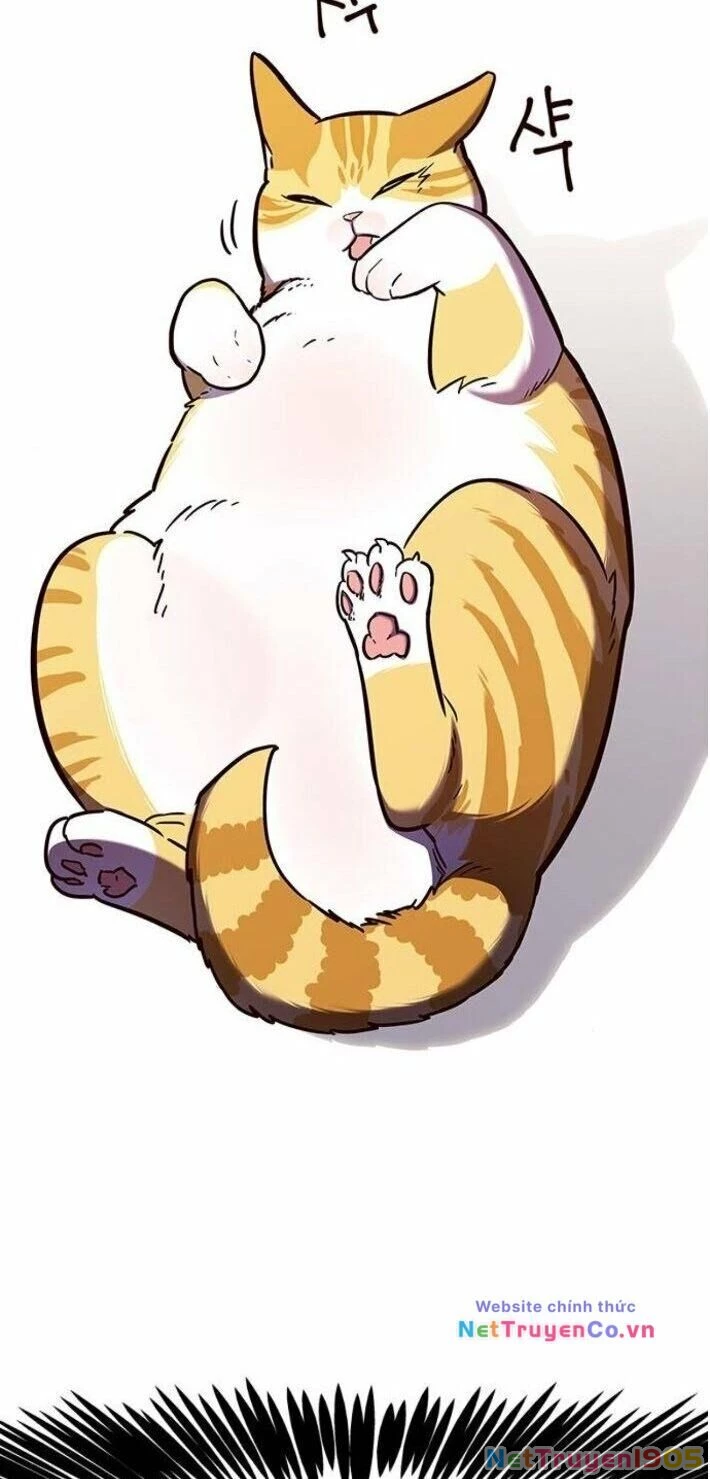 Cô Dâu Của Sói Trắng Chapter 141 - 50