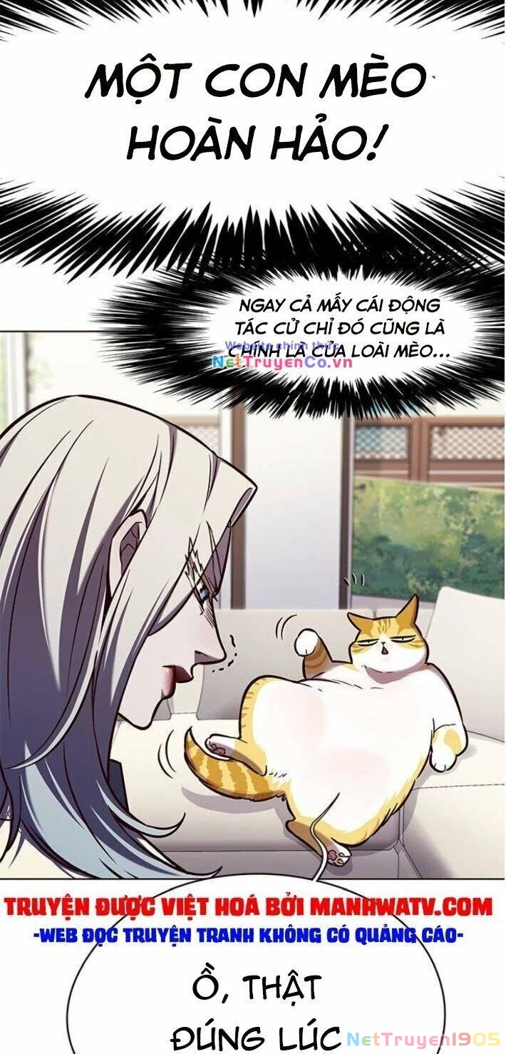 Cô Dâu Của Sói Trắng Chapter 141 - 51