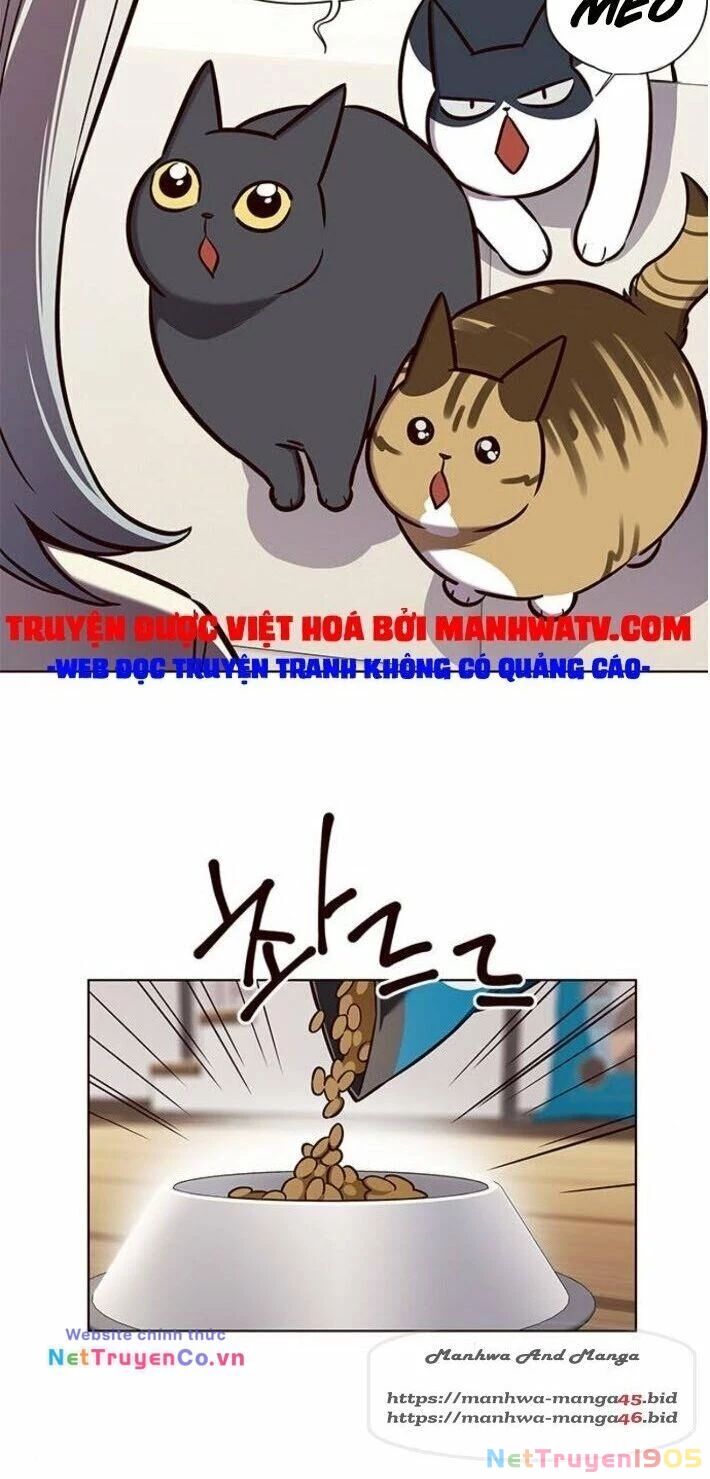 Cô Dâu Của Sói Trắng Chapter 141 - 54