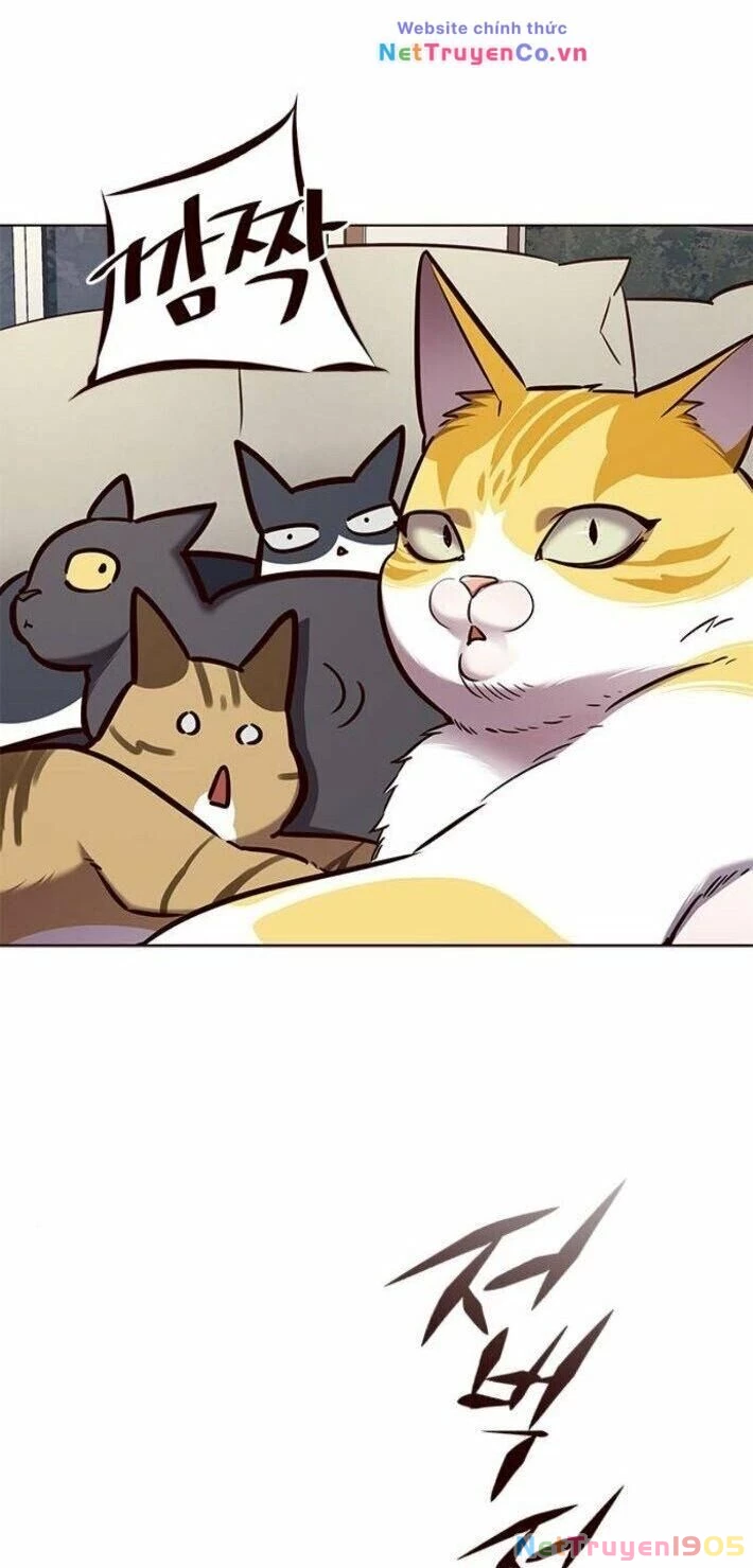 Cô Dâu Của Sói Trắng Chapter 141 - 60