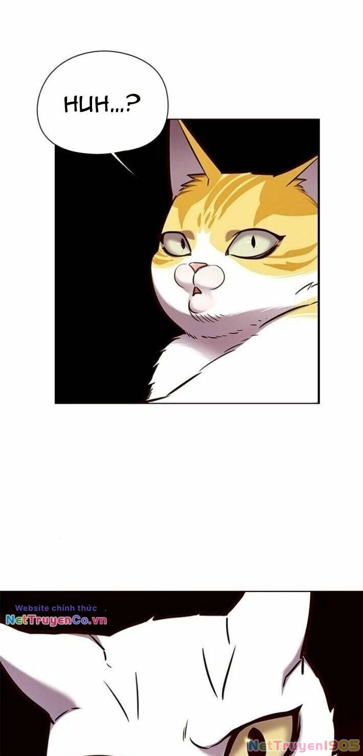 Cô Dâu Của Sói Trắng Chapter 141 - 62
