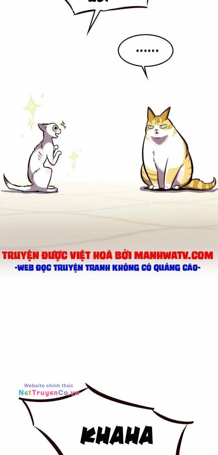 Cô Dâu Của Sói Trắng Chapter 141 - 65