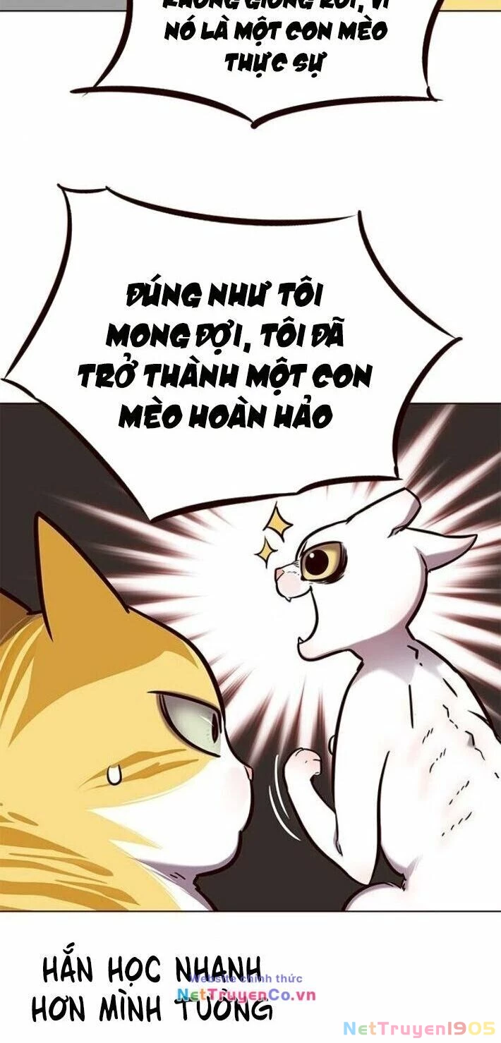 Cô Dâu Của Sói Trắng Chapter 141 - 68