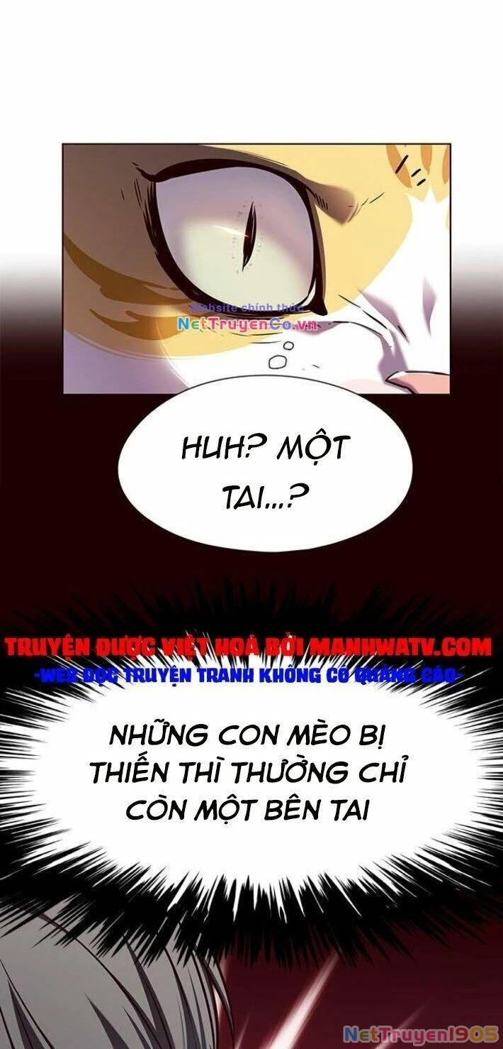 Cô Dâu Của Sói Trắng Chapter 141 - 69