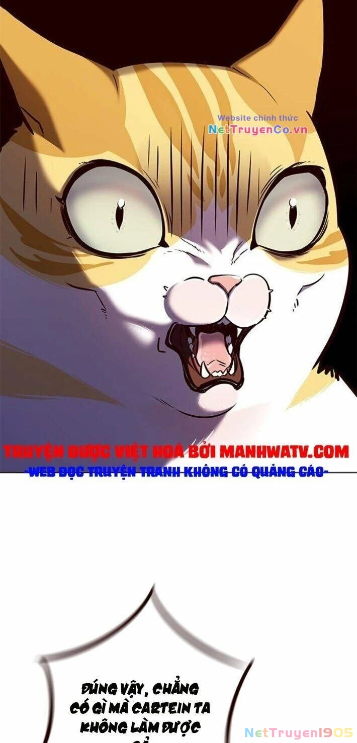 Cô Dâu Của Sói Trắng Chapter 141 - 71