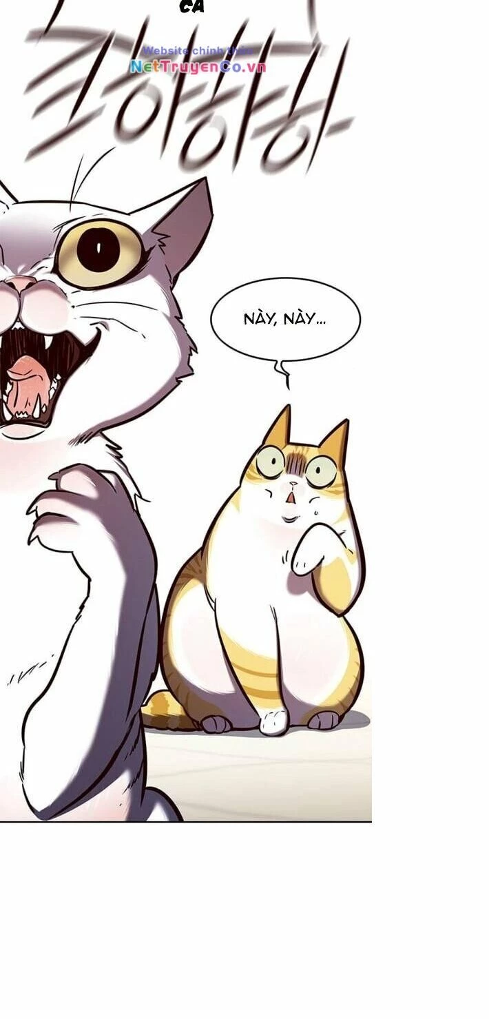 Cô Dâu Của Sói Trắng Chapter 141 - 72