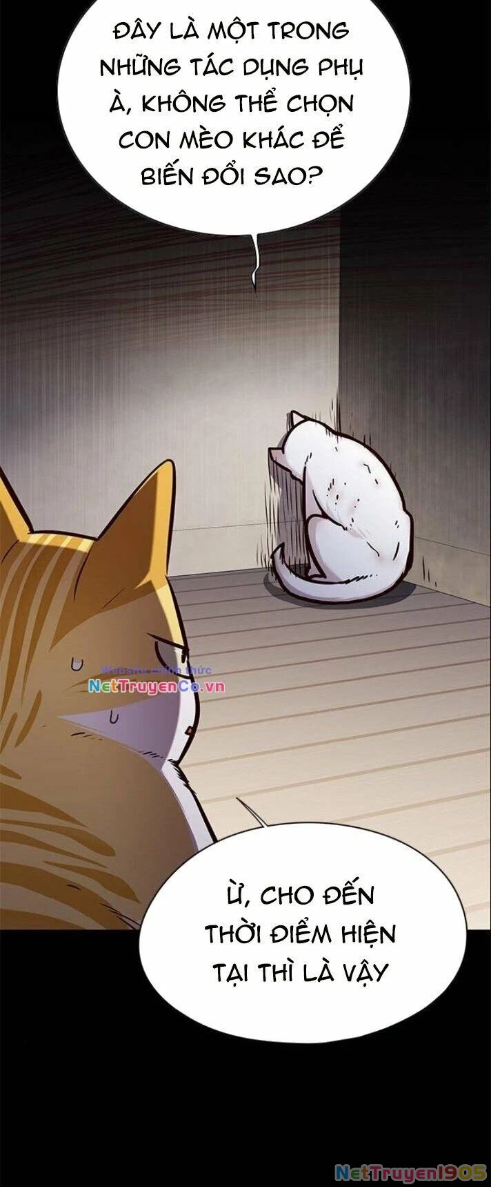 Cô Dâu Của Sói Trắng Chapter 142 - 7