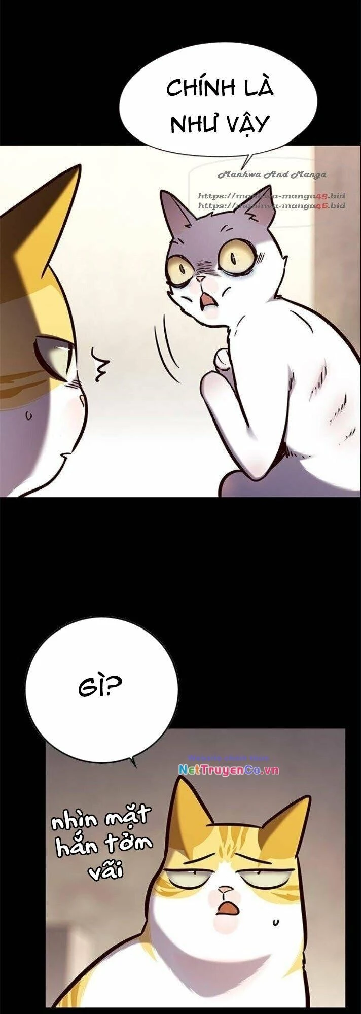 Cô Dâu Của Sói Trắng Chapter 142 - 11