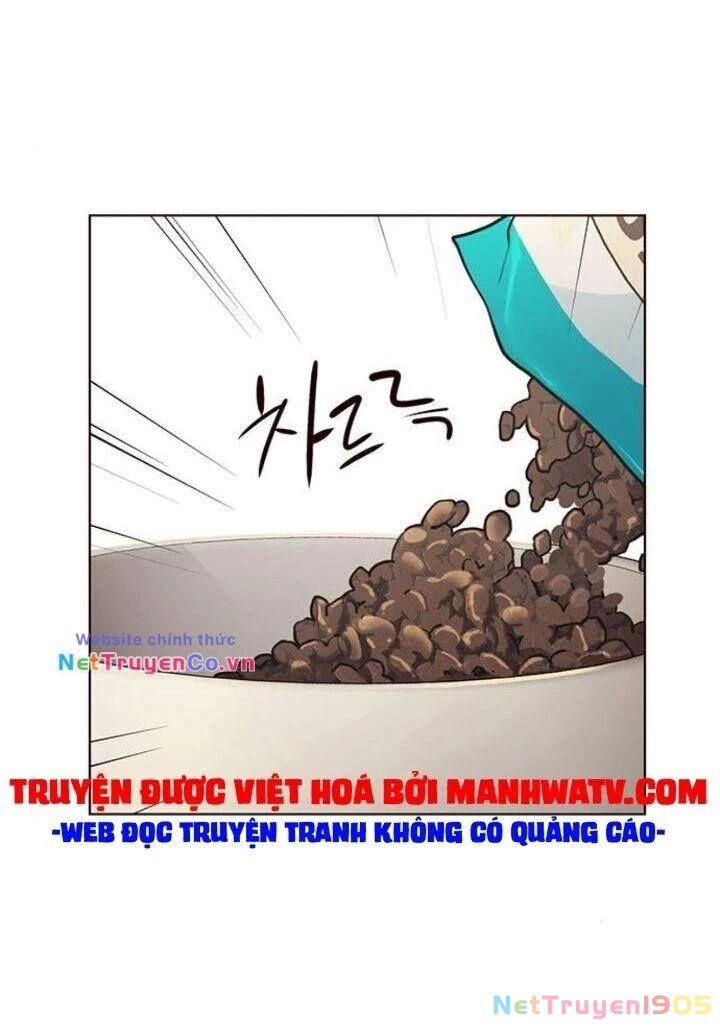 Cô Dâu Của Sói Trắng Chapter 143 - 25