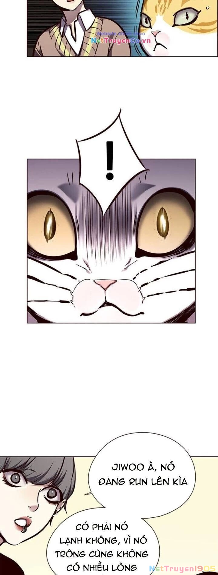 Cô Dâu Của Sói Trắng Chapter 143 - 45