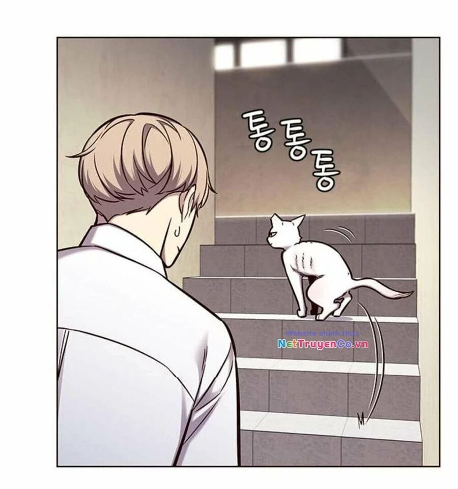 Cô Dâu Của Sói Trắng Chapter 144 - 12