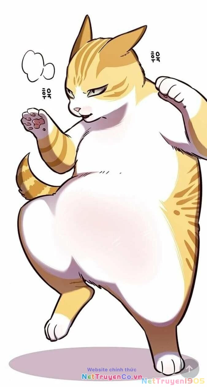 Cô Dâu Của Sói Trắng Chapter 144 - 15