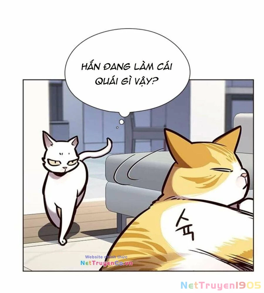 Cô Dâu Của Sói Trắng Chapter 144 - 16