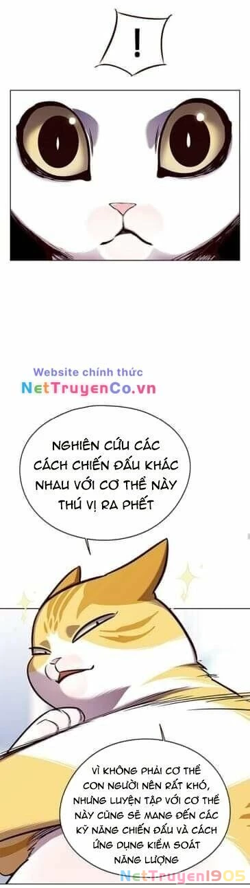 Cô Dâu Của Sói Trắng Chapter 144 - 19