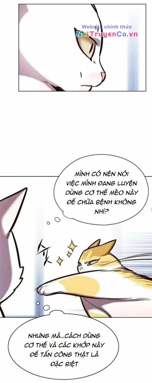 Cô Dâu Của Sói Trắng Chapter 144 - 21