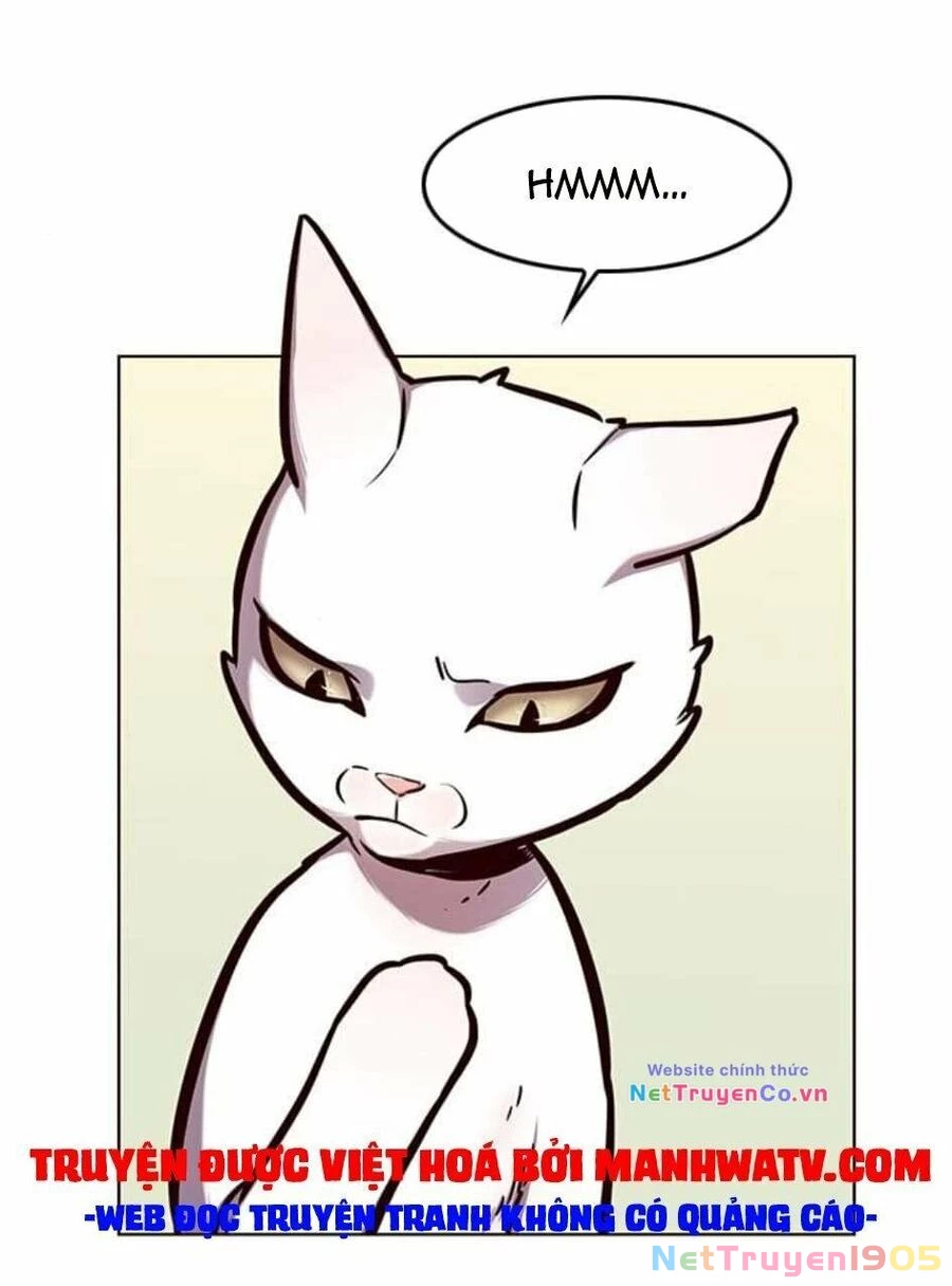 Cô Dâu Của Sói Trắng Chapter 144 - 22