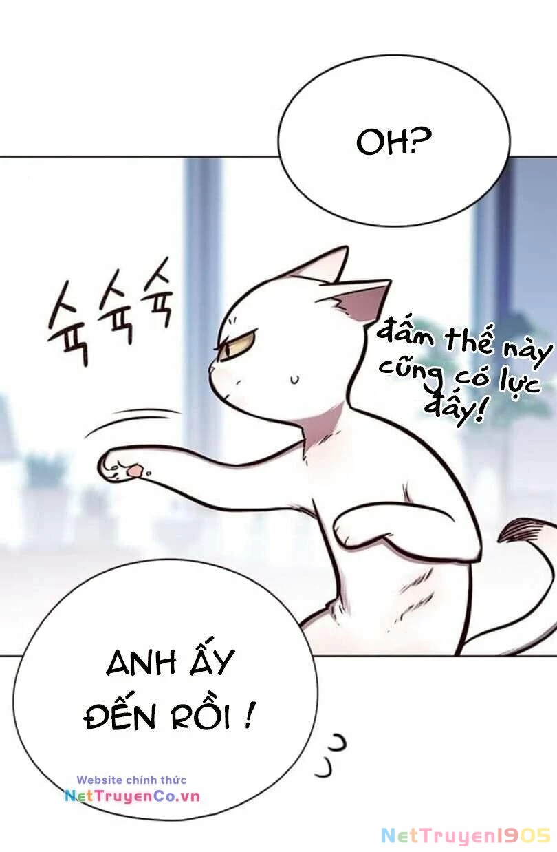 Cô Dâu Của Sói Trắng Chapter 144 - 25