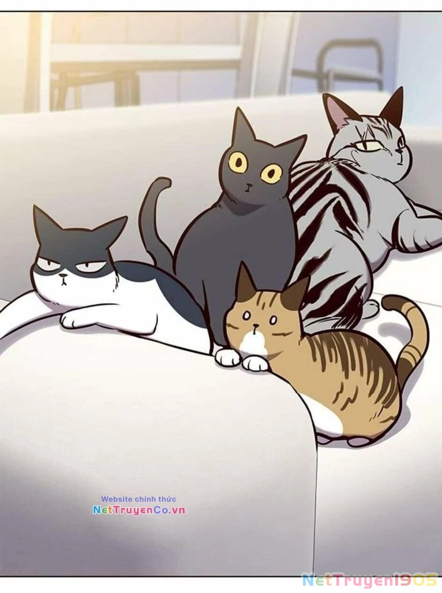 Cô Dâu Của Sói Trắng Chapter 144 - 28