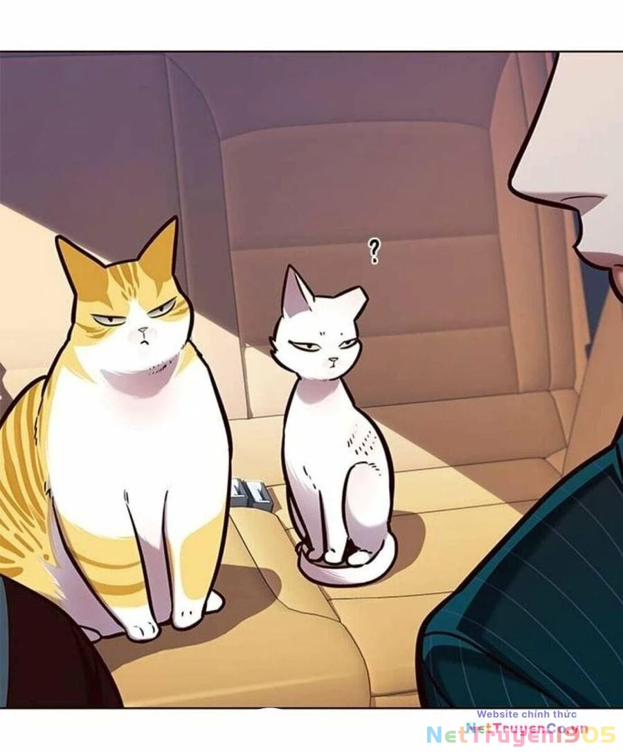 Cô Dâu Của Sói Trắng Chapter 144 - 31