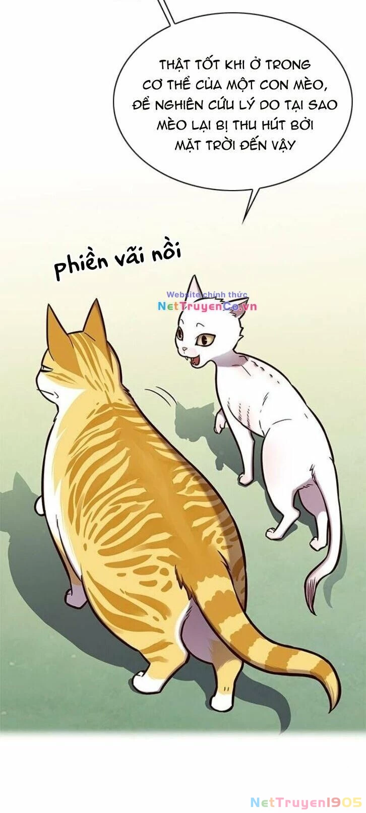 Cô Dâu Của Sói Trắng Chapter 145 - 52