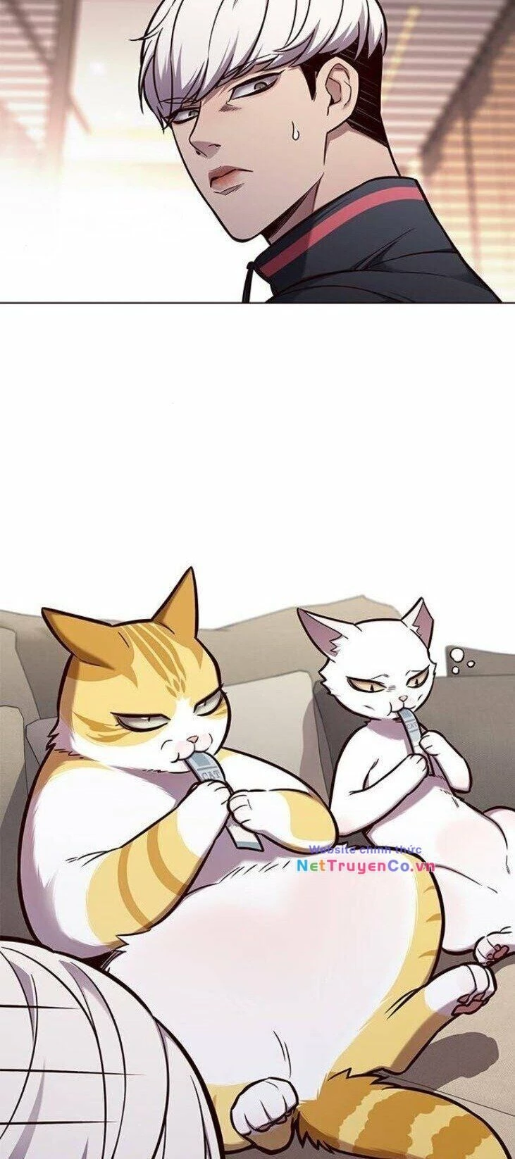Cô Dâu Của Sói Trắng Chapter 146 - 19