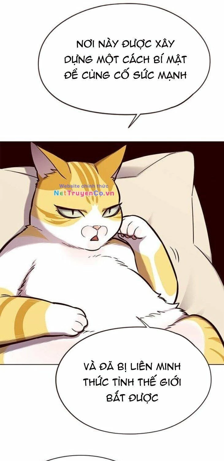 Cô Dâu Của Sói Trắng Chapter 146 - 35