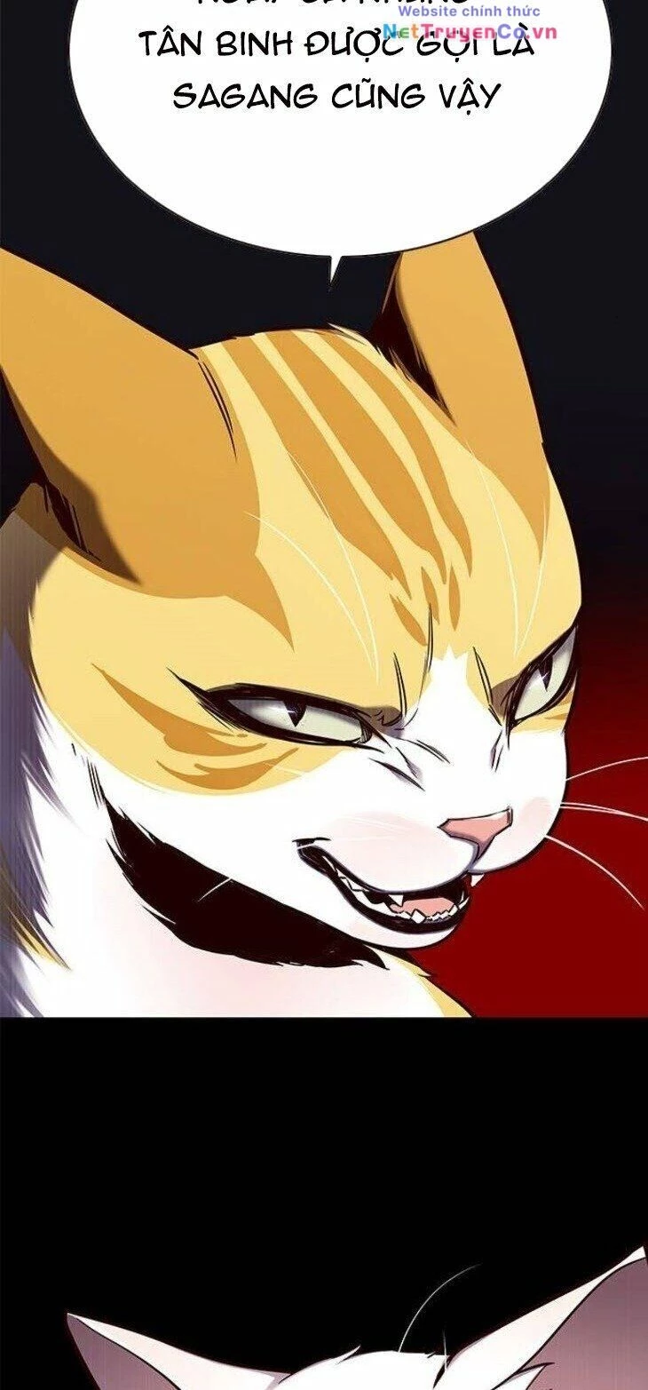 Cô Dâu Của Sói Trắng Chapter 146 - 43