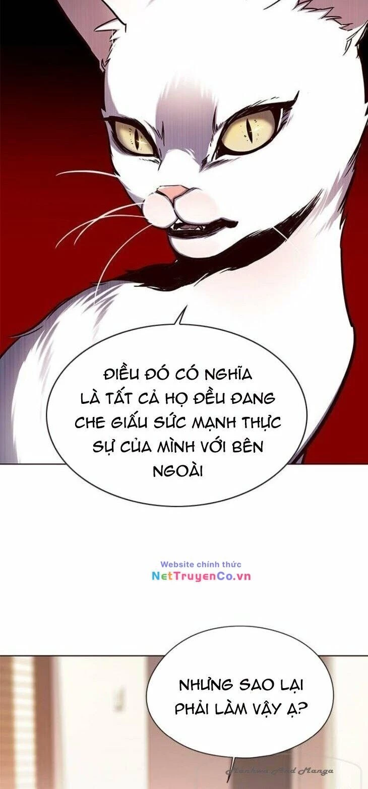 Cô Dâu Của Sói Trắng Chapter 146 - 44