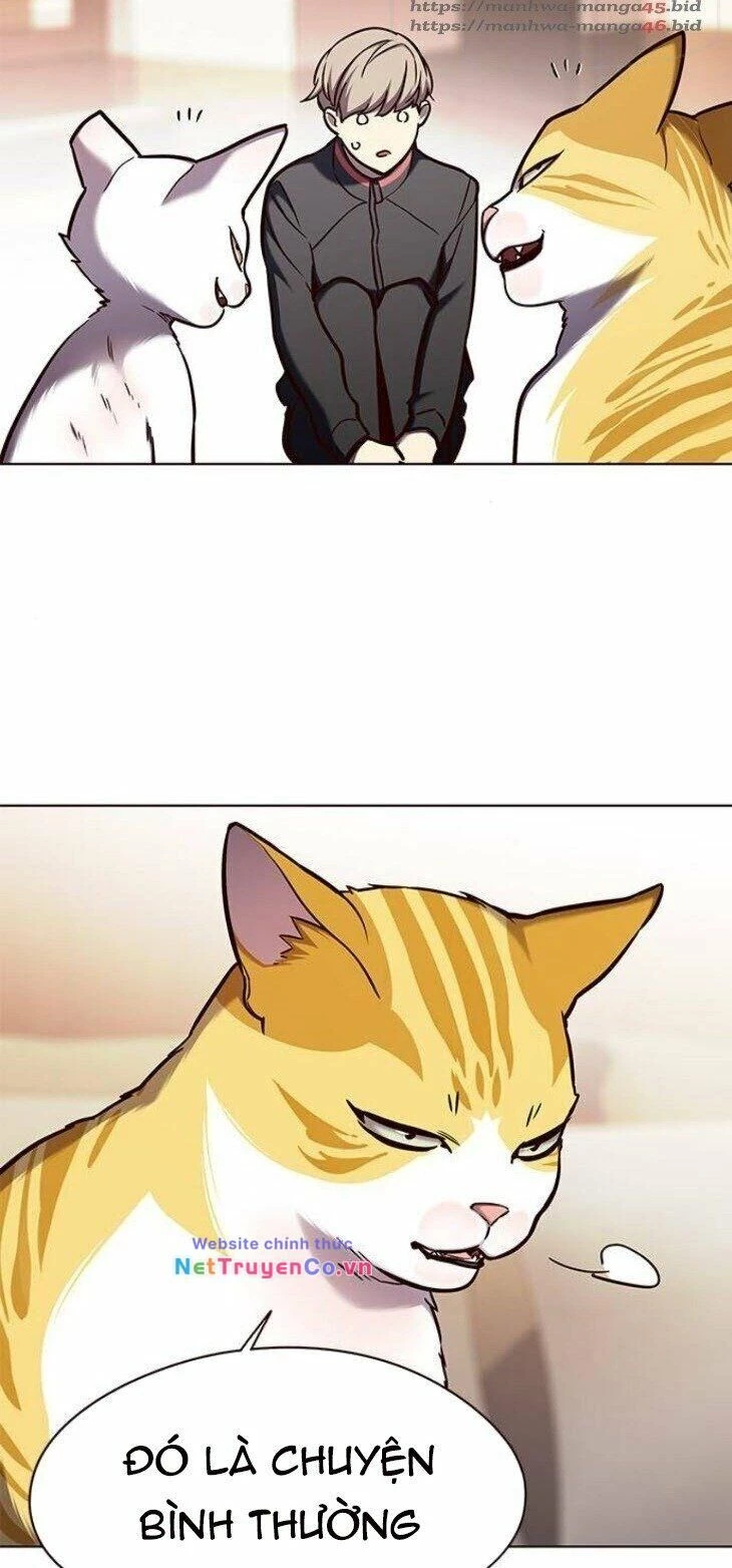 Cô Dâu Của Sói Trắng Chapter 146 - 45