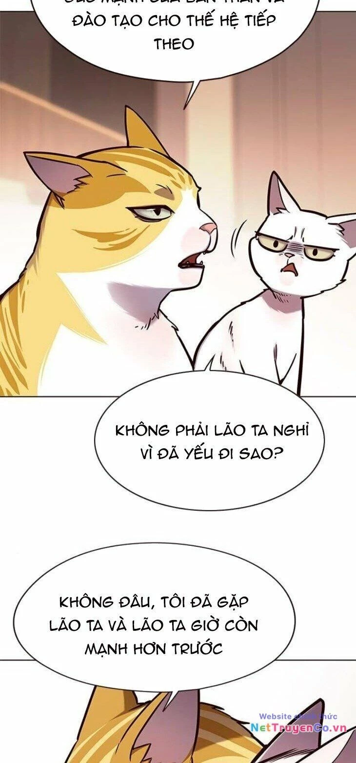 Cô Dâu Của Sói Trắng Chapter 146 - 49